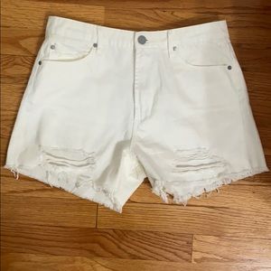 Articles of Society shorts